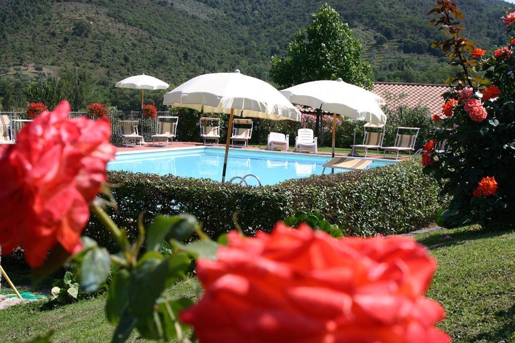 Agriturismo Cortoreggio Cortona Exteriör bild