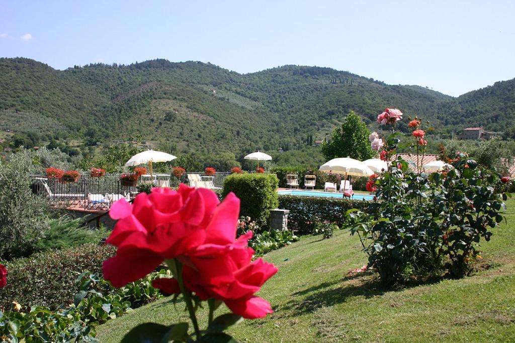 Agriturismo Cortoreggio Cortona Exteriör bild