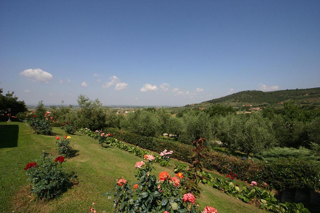 Agriturismo Cortoreggio Cortona Exteriör bild