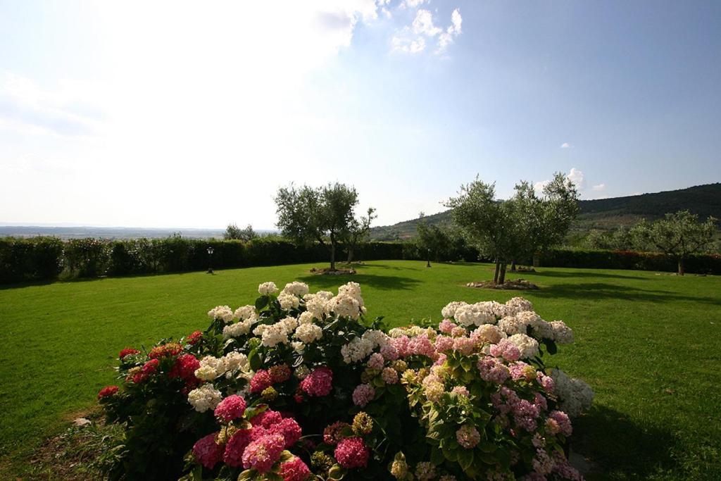 Agriturismo Cortoreggio Cortona Exteriör bild