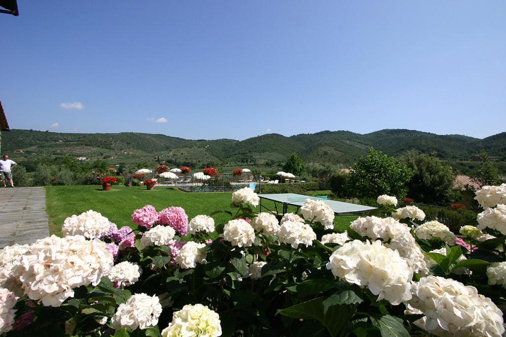 Agriturismo Cortoreggio Cortona Exteriör bild