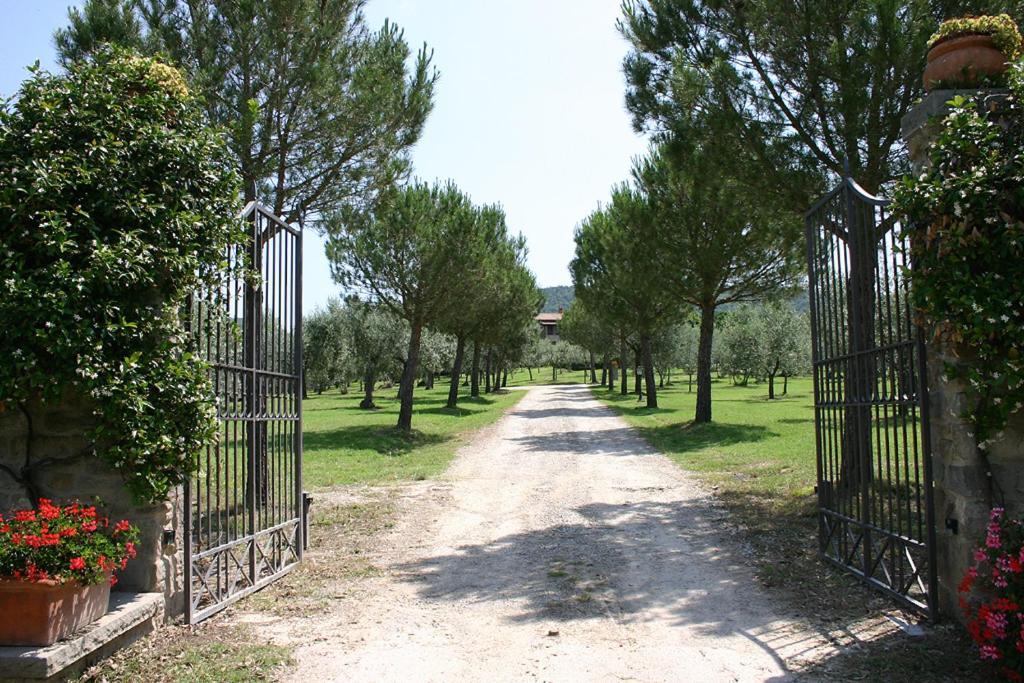 Agriturismo Cortoreggio Cortona Exteriör bild